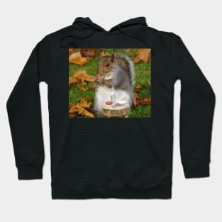 squirrel Hoodie